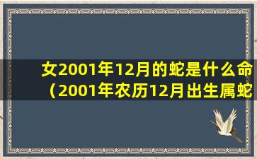 女2001年12月的蛇是什么命（2001年农历12月出生属蛇女命 🕷 运）